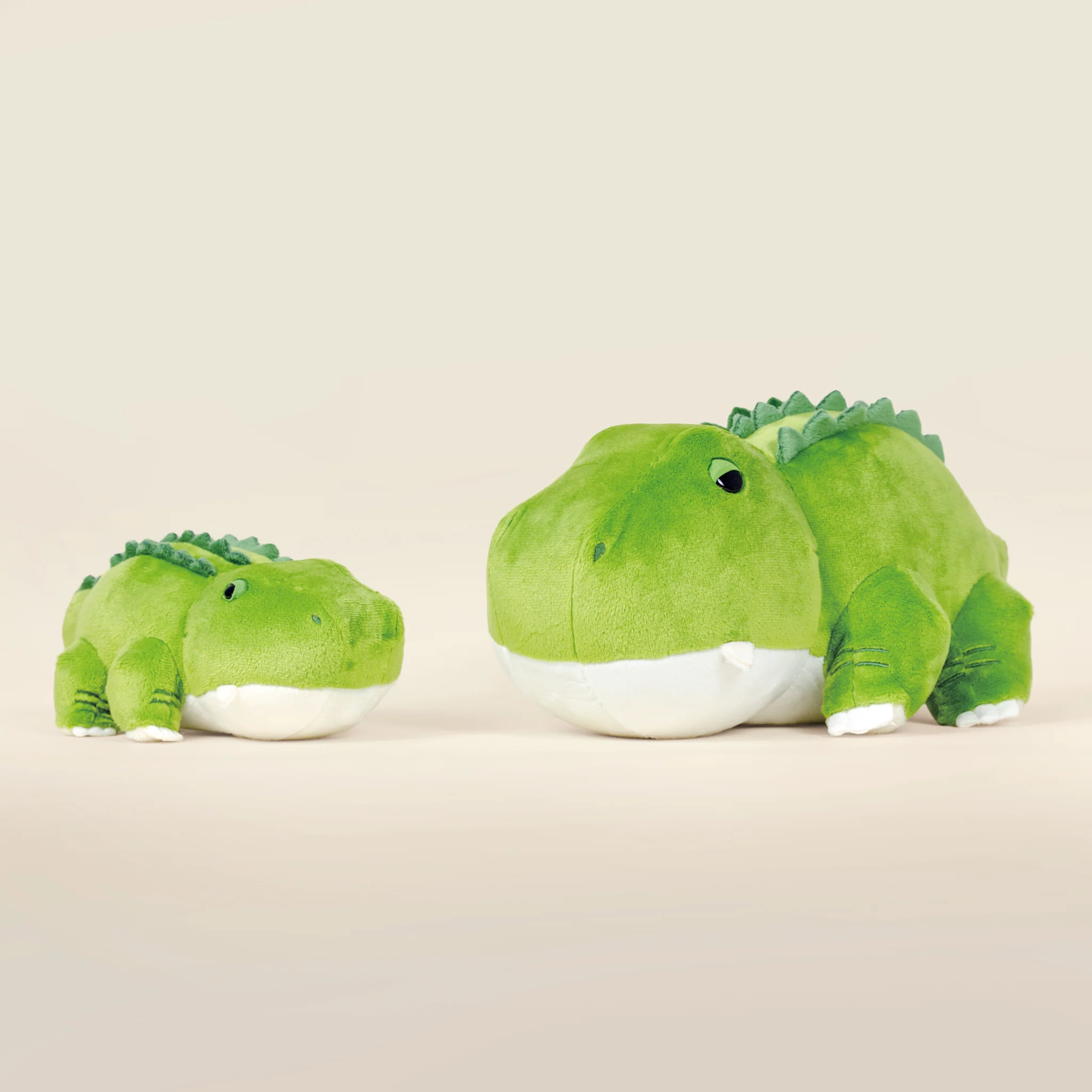 Alli the Alligator - Image 9