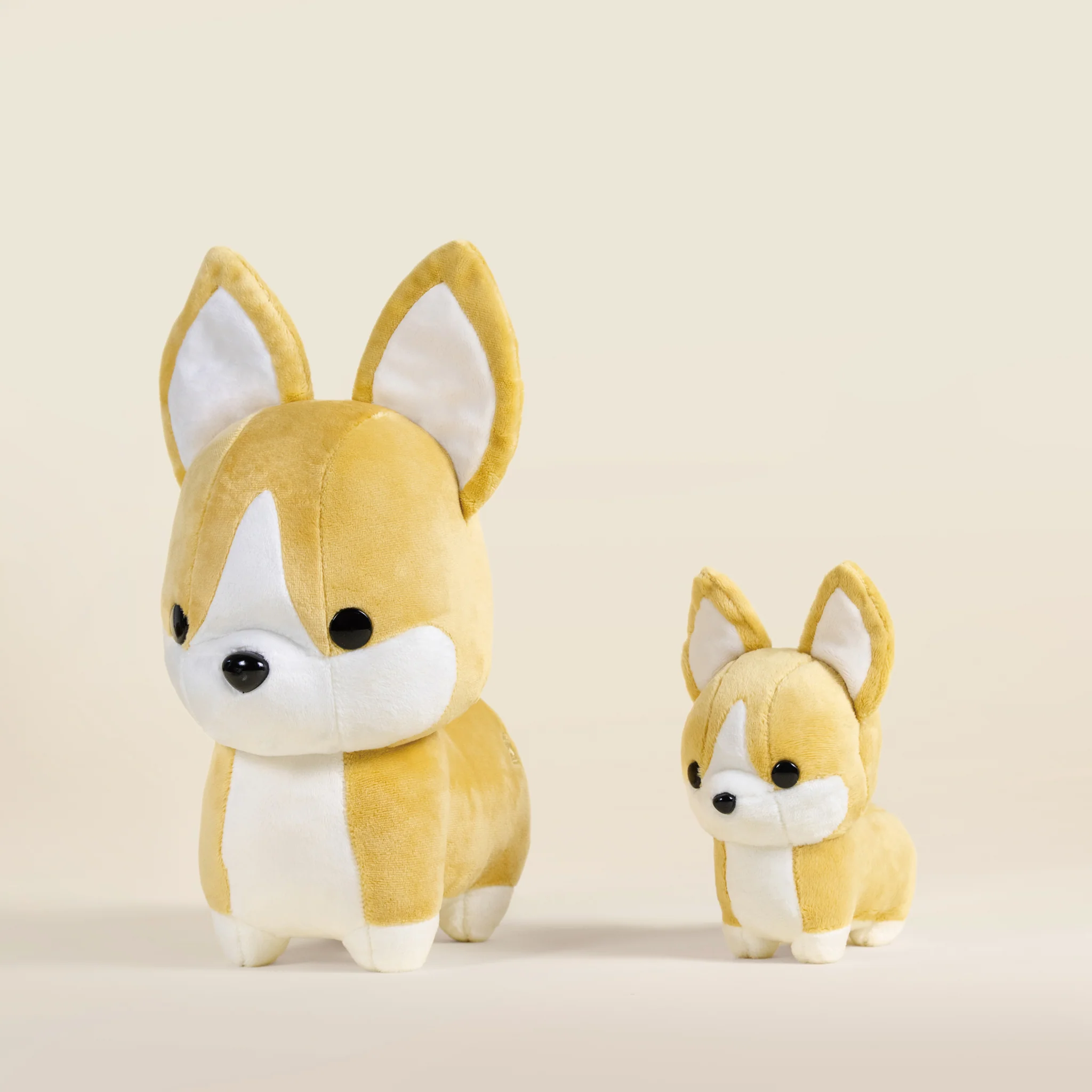 Mini Corgi the Dog - Image 10