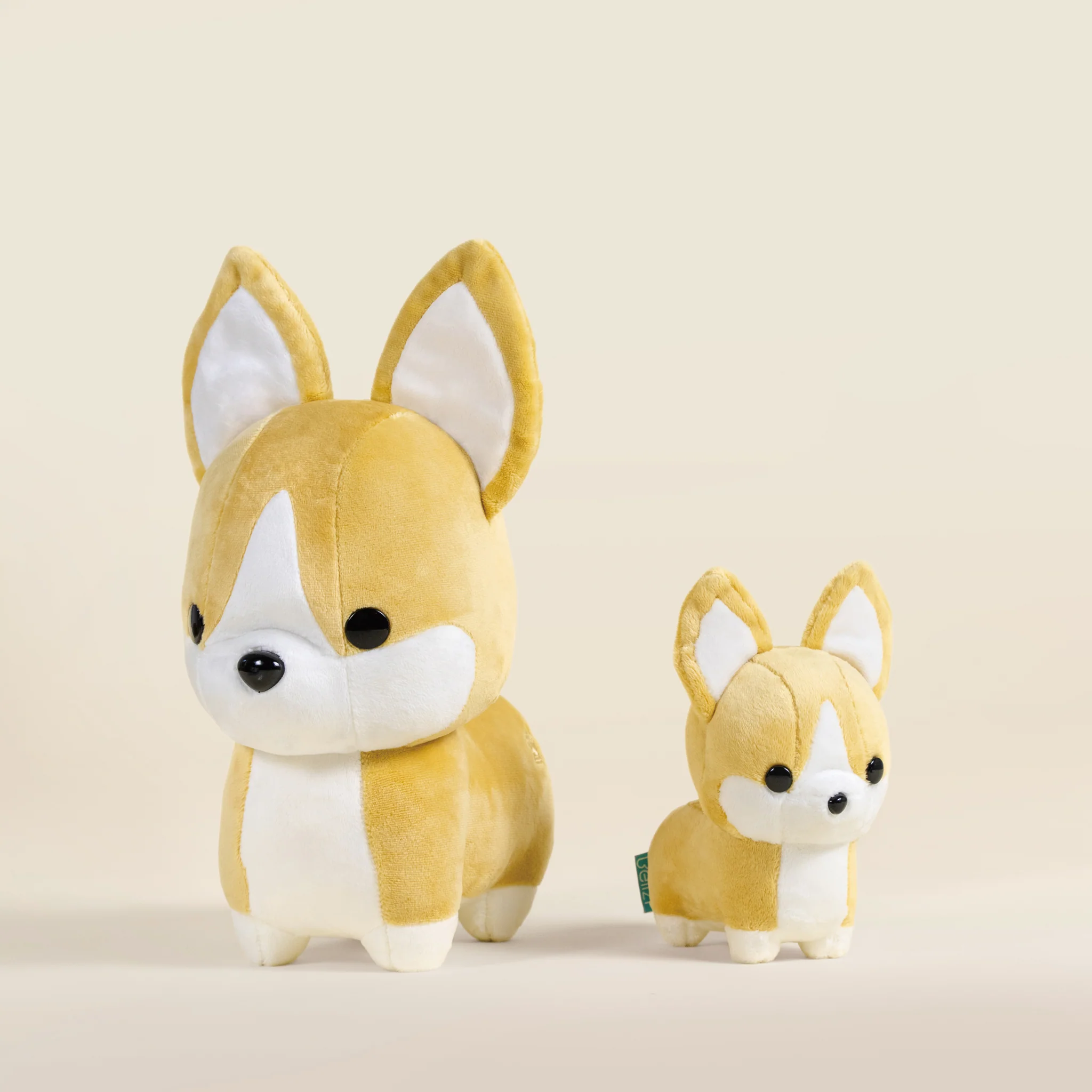 Mini Corgi the Dog - Image 12