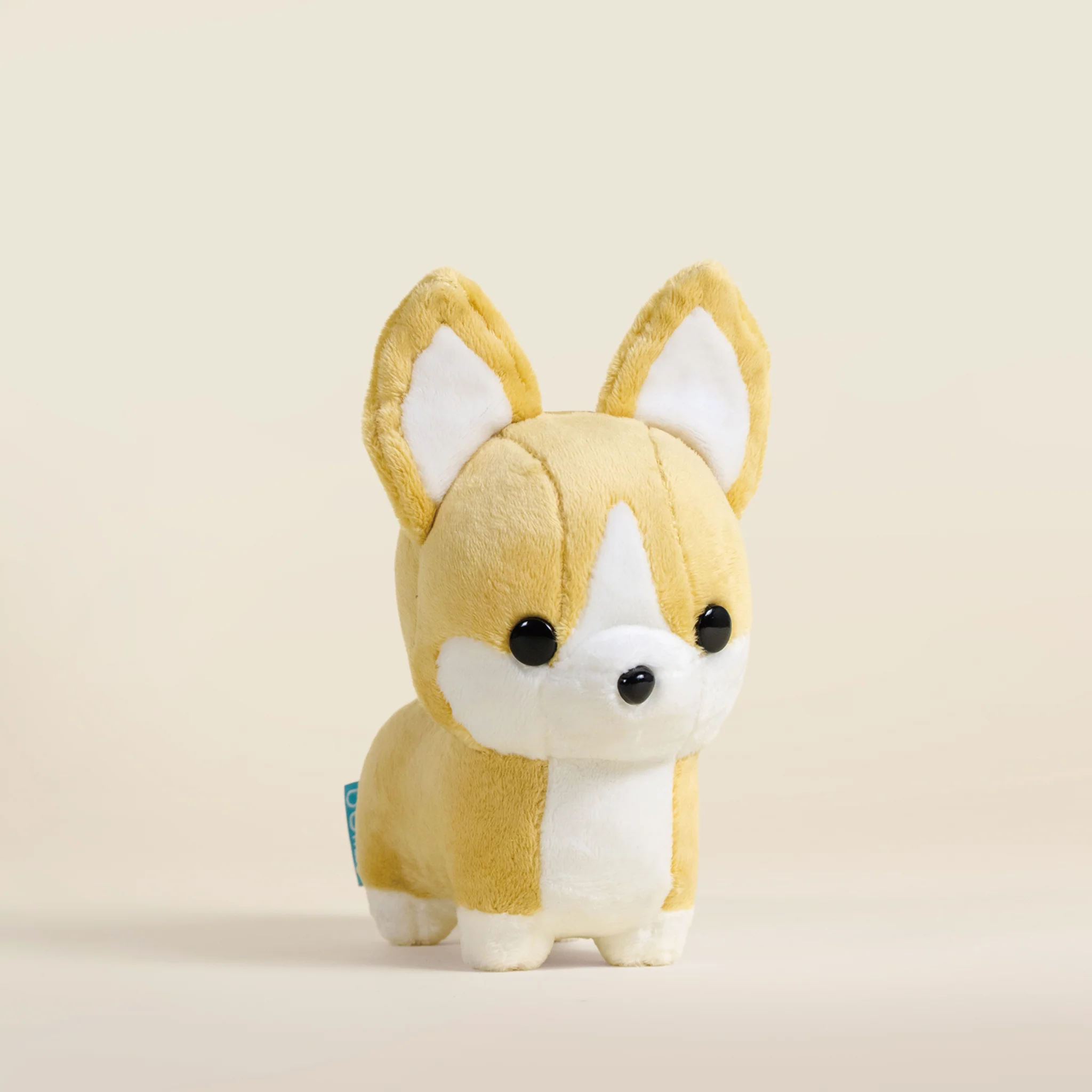 Mini Corgi the Dog - Image 3