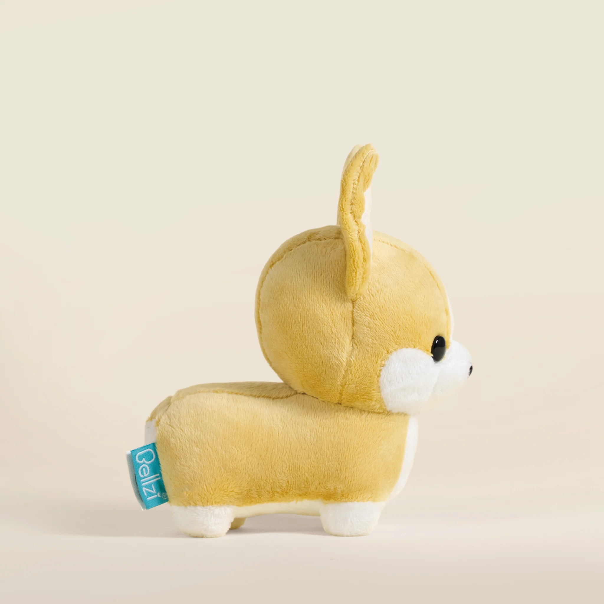 Mini Corgi the Dog - Image 4