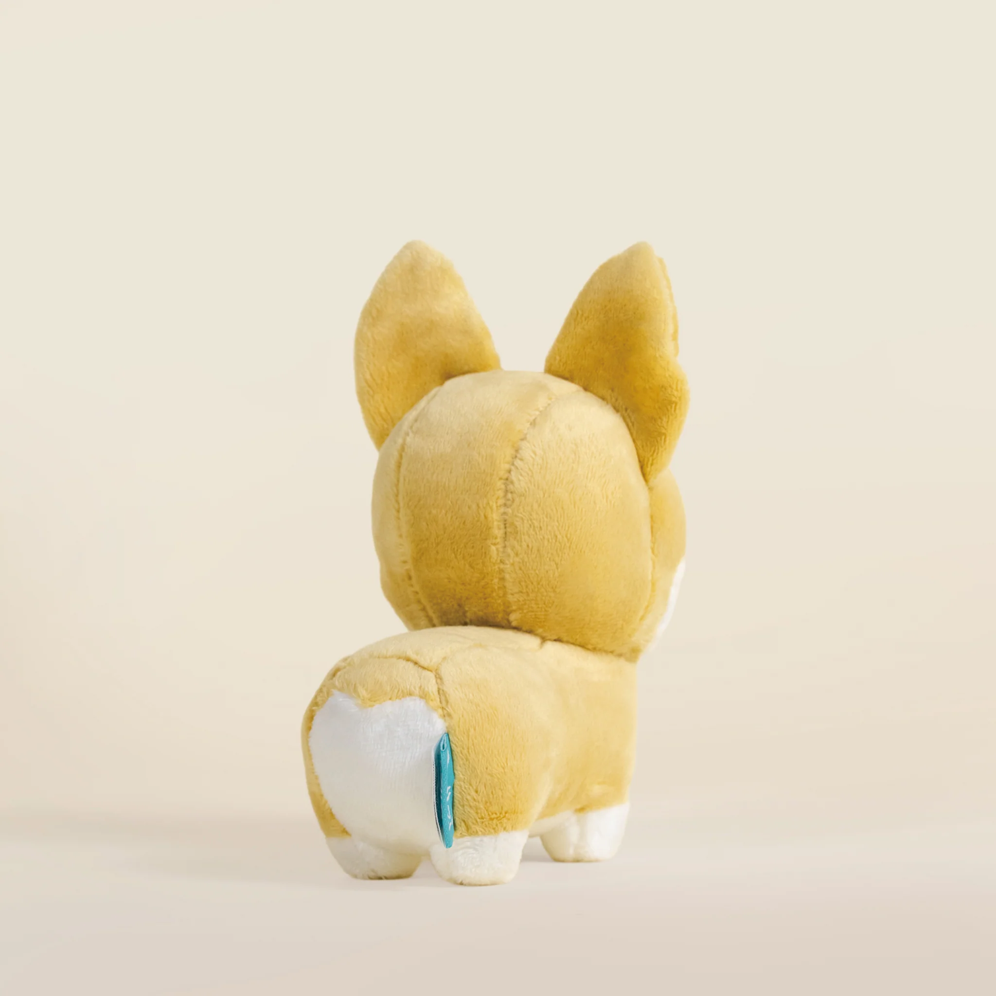 Mini Corgi the Dog - Image 5