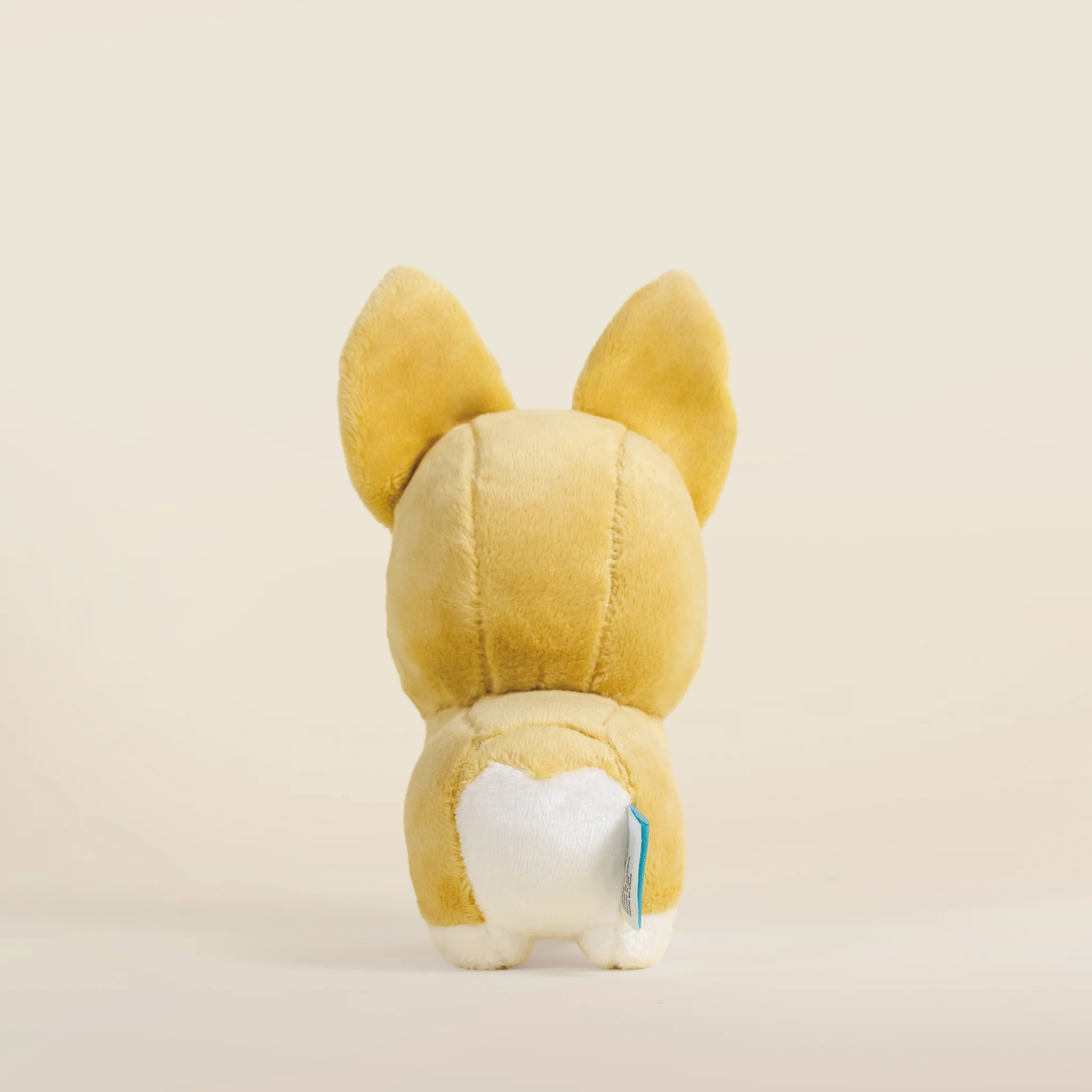 Mini Corgi the Dog - Image 6