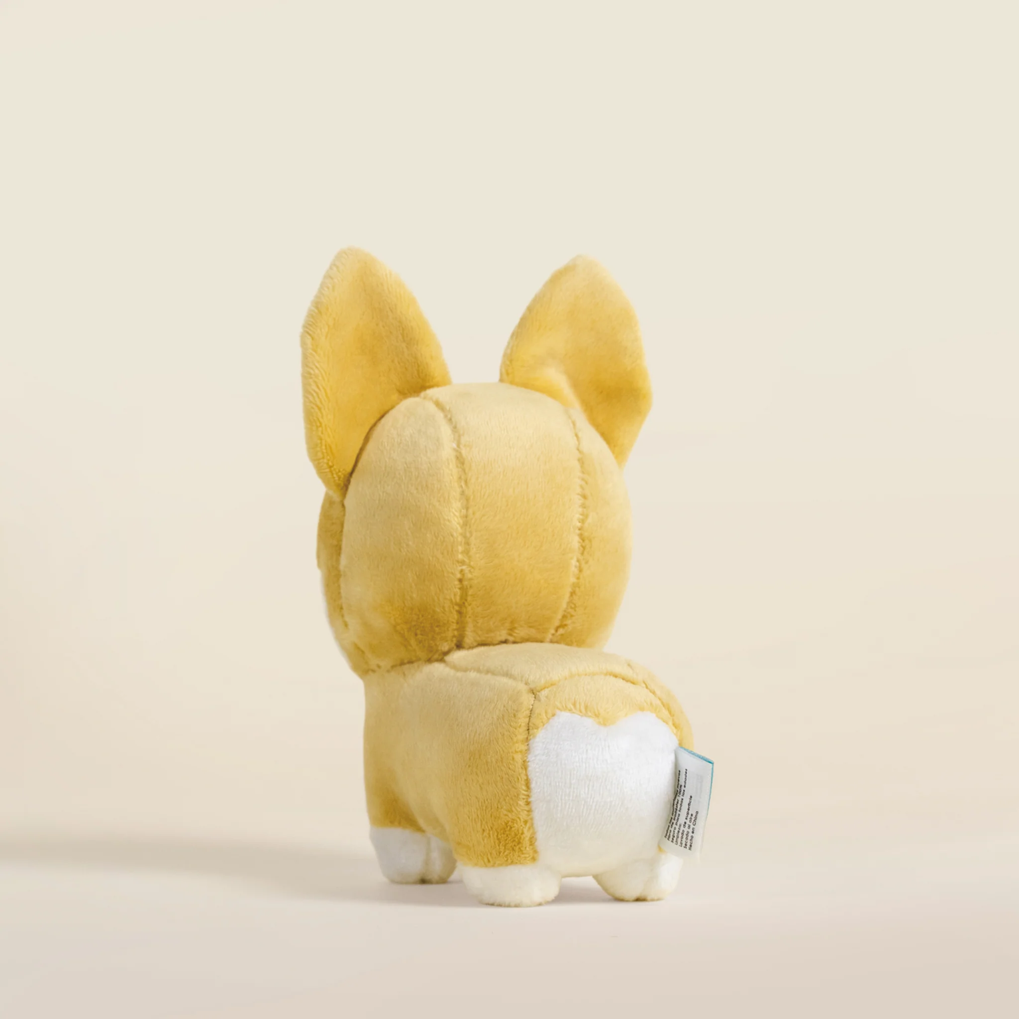 Mini Corgi the Dog - Image 7