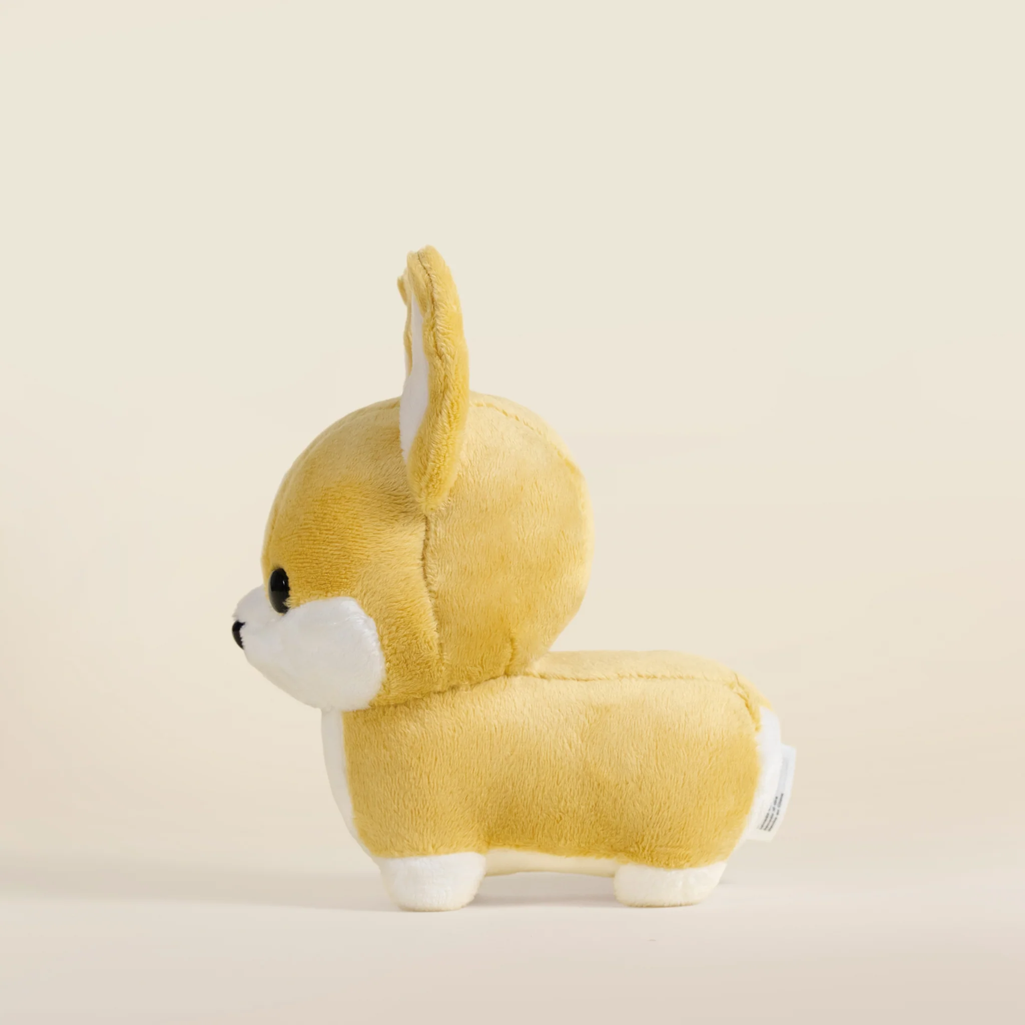 Mini Corgi the Dog - Image 8