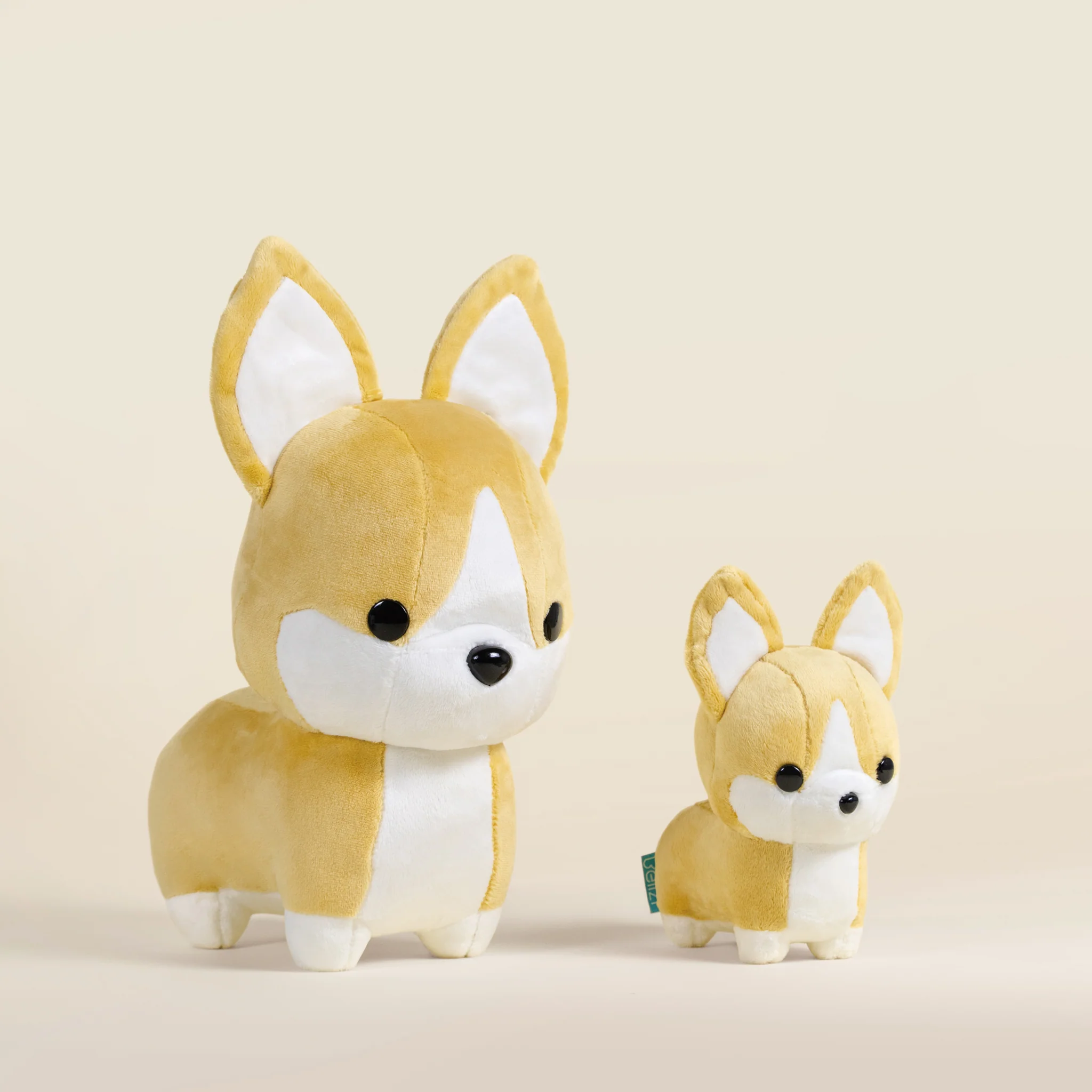 Corgi the Dog - Image 12