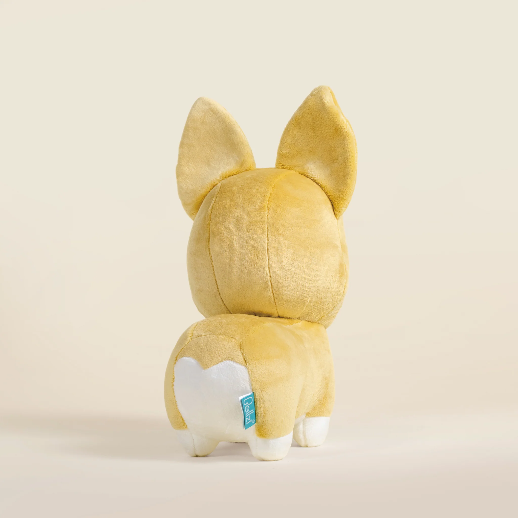 Corgi the Dog - Image 5