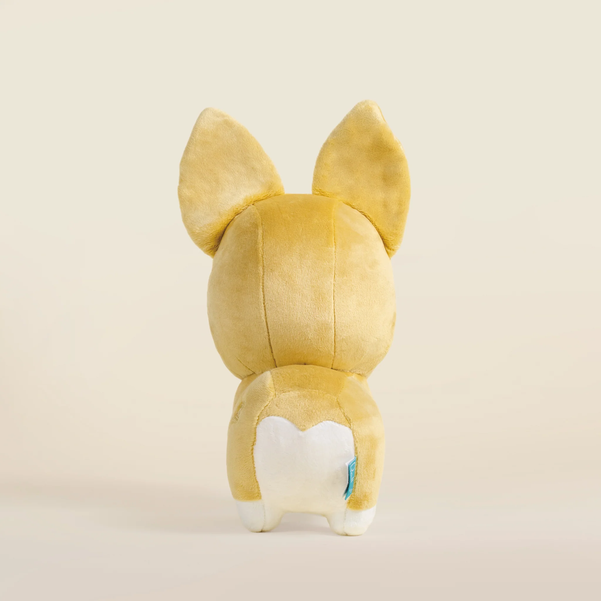 Corgi the Dog - Image 6