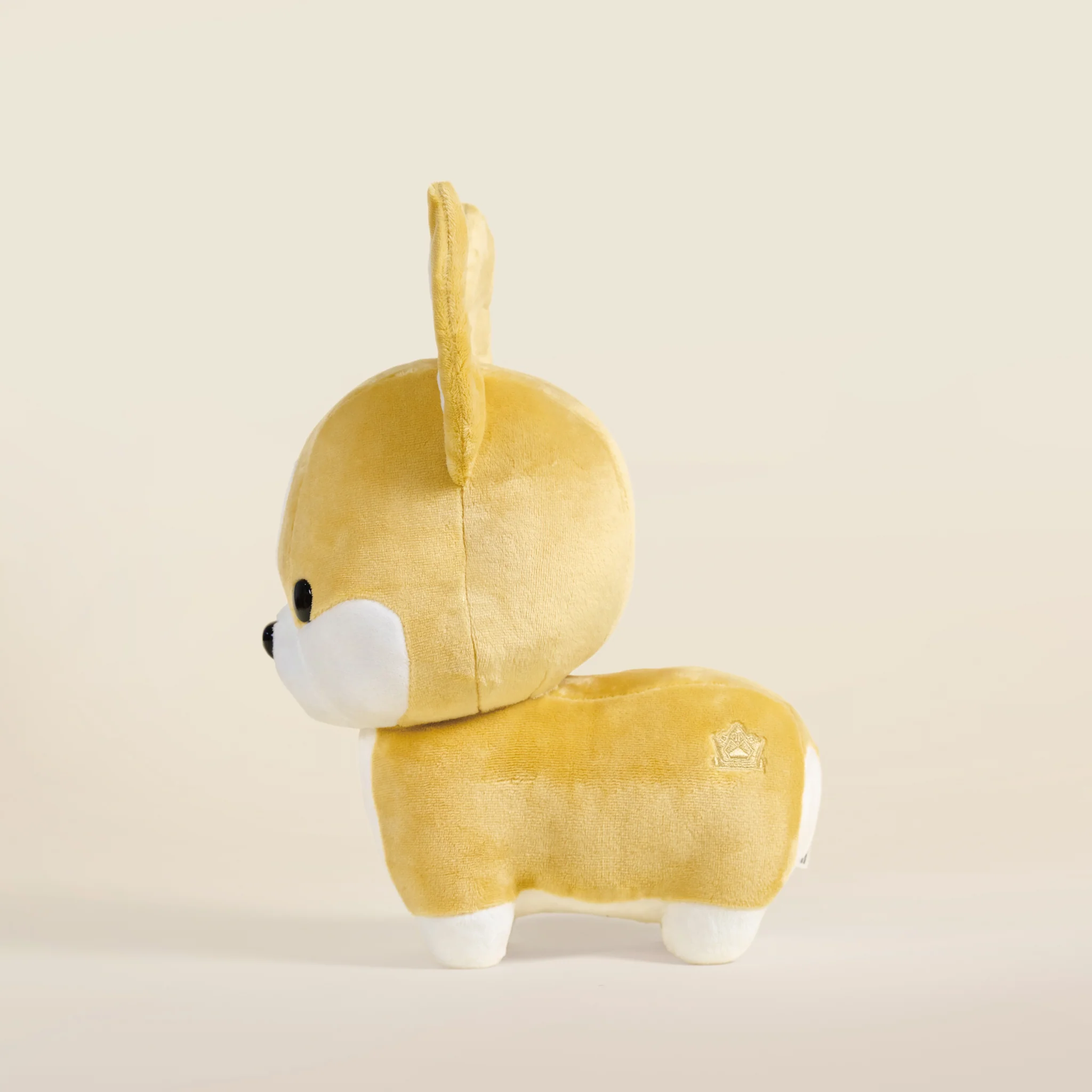 Corgi the Dog - Image 8