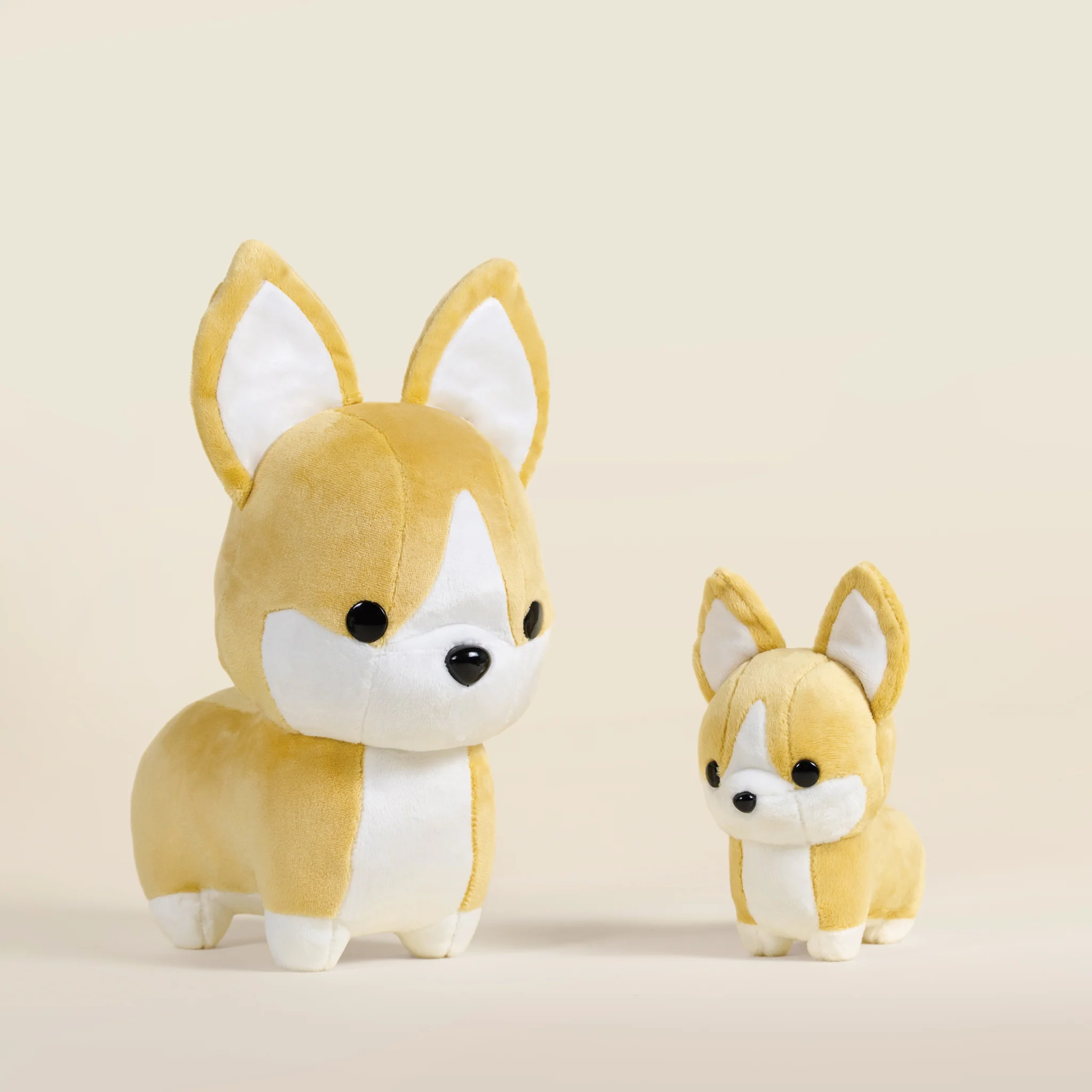 Corgi the Dog - Image 9