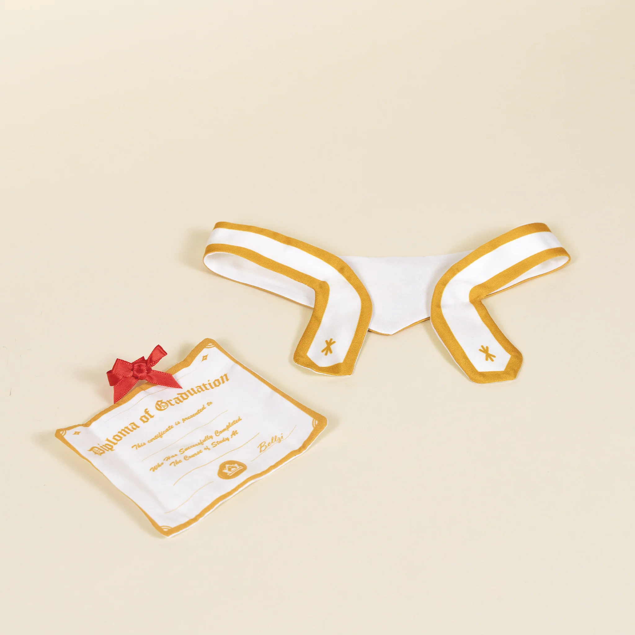 Graduation Corgi - Image 3