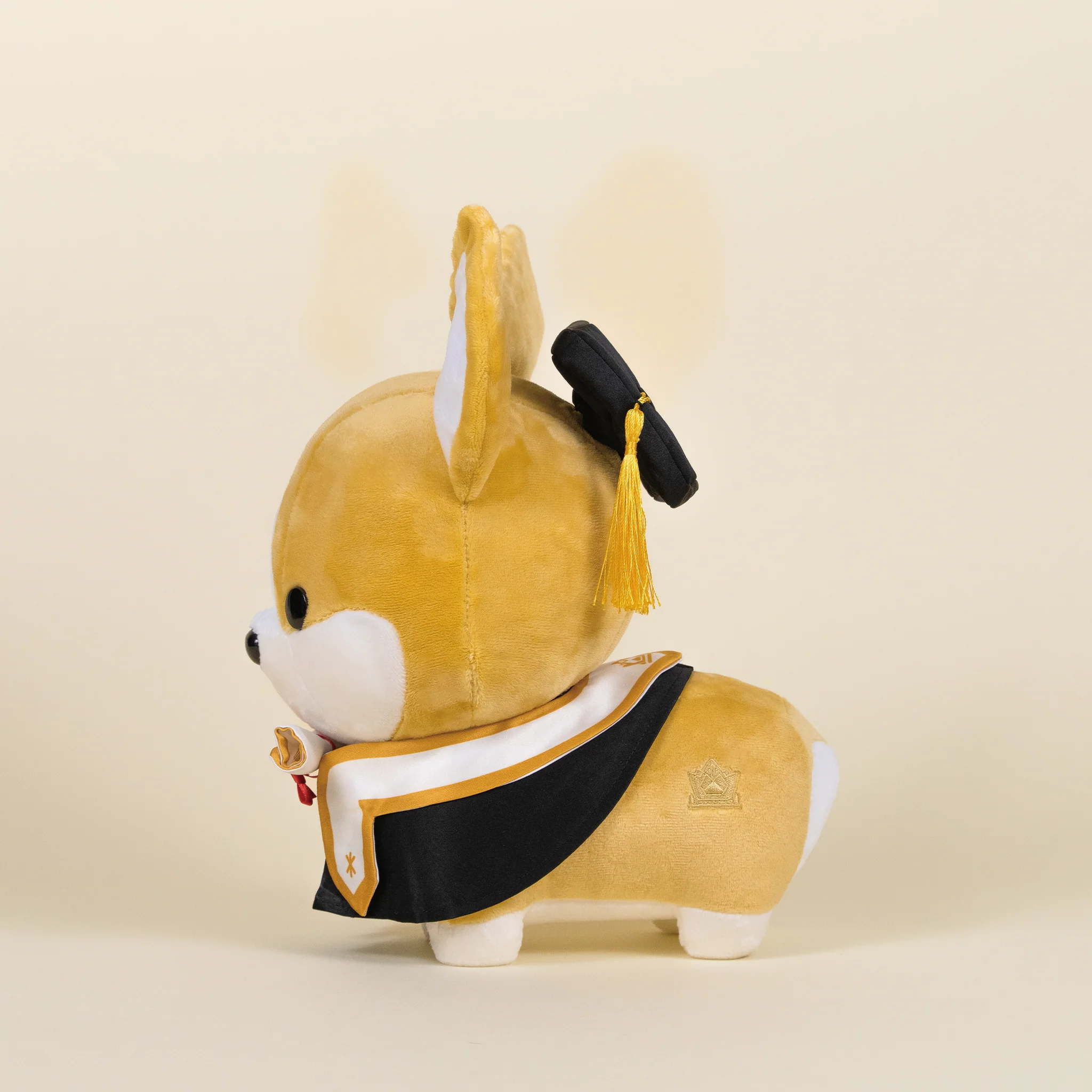 Graduation Corgi - Image 4