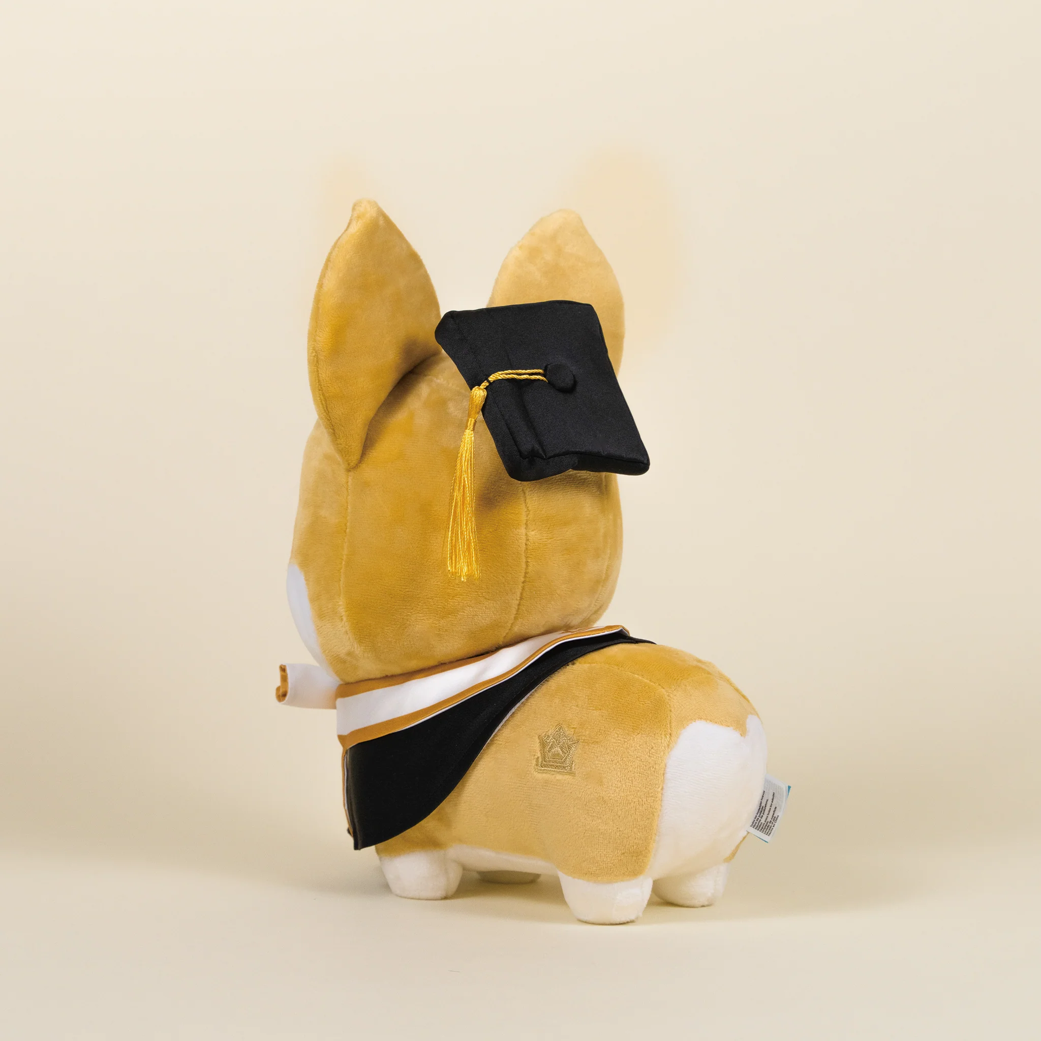 Graduation Corgi - Image 5