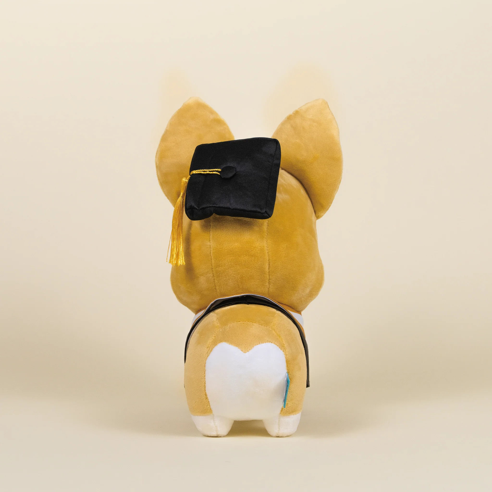 Graduation Corgi - Image 6