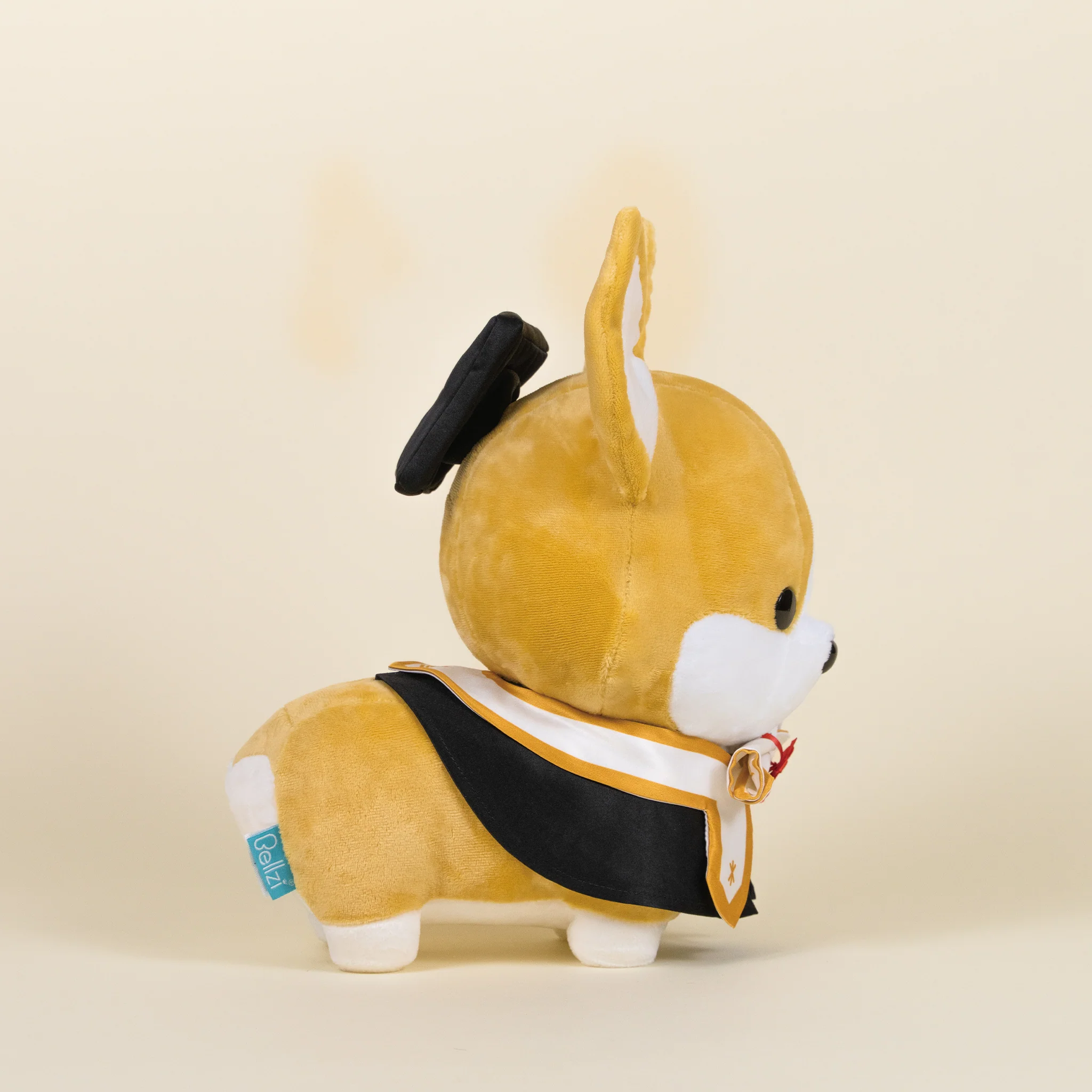 Graduation Corgi - Image 7