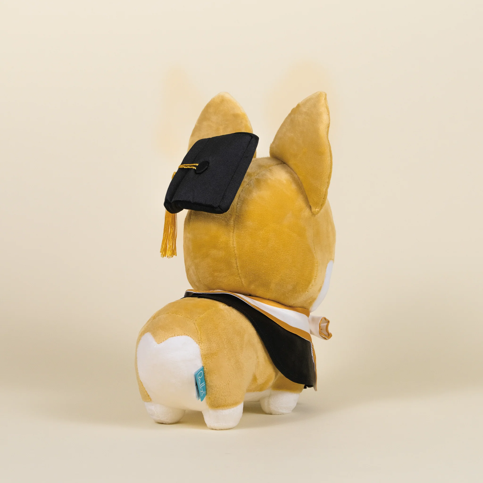 Graduation Corgi - Image 8