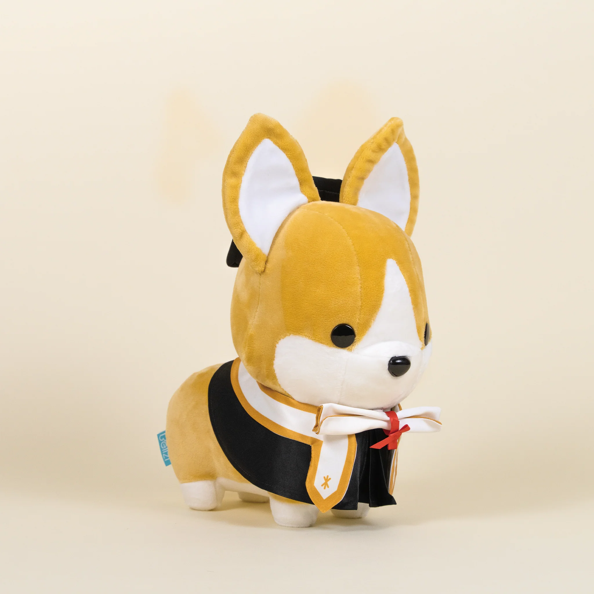 Graduation Corgi - Image 9