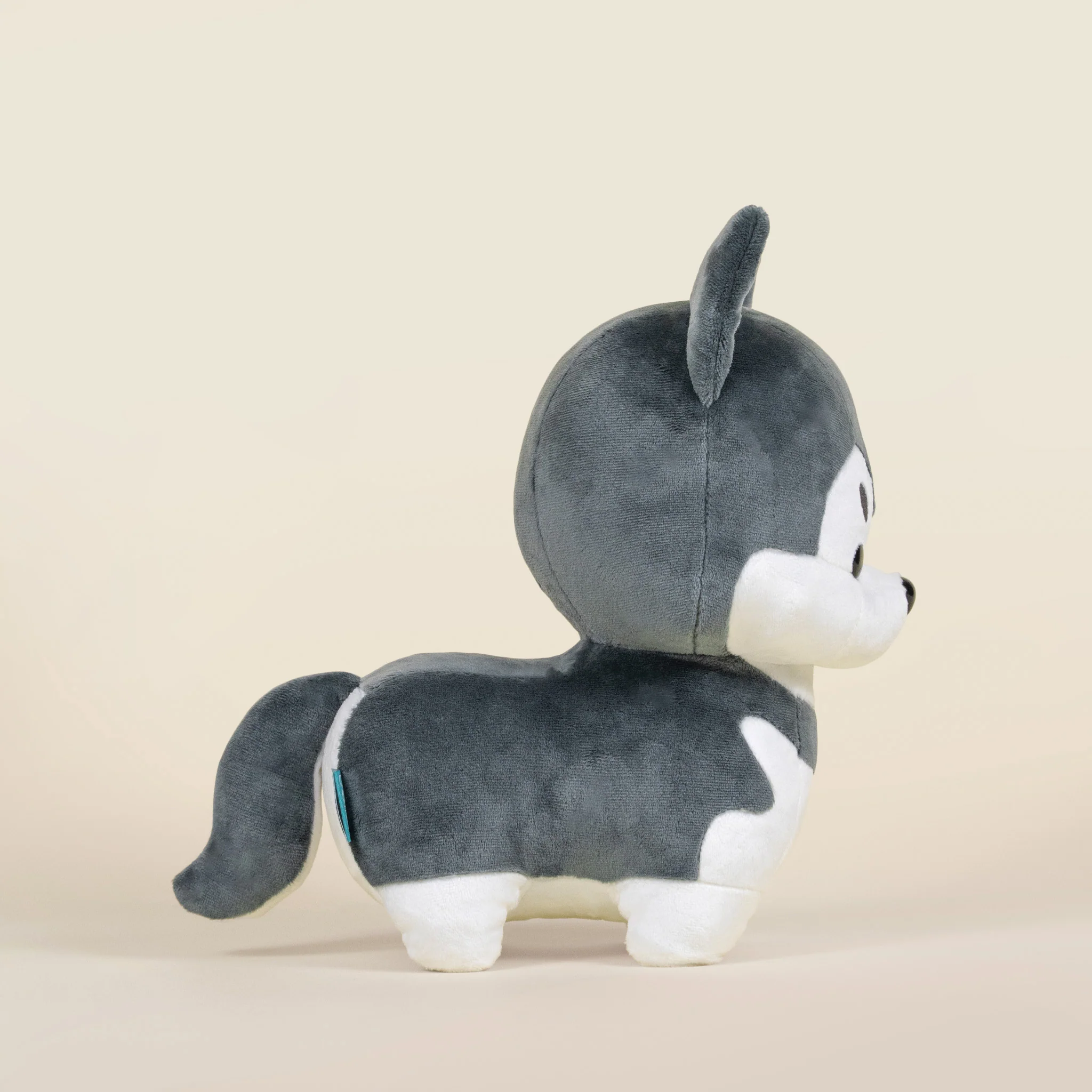 Huski the Siberian Husky - Image 4