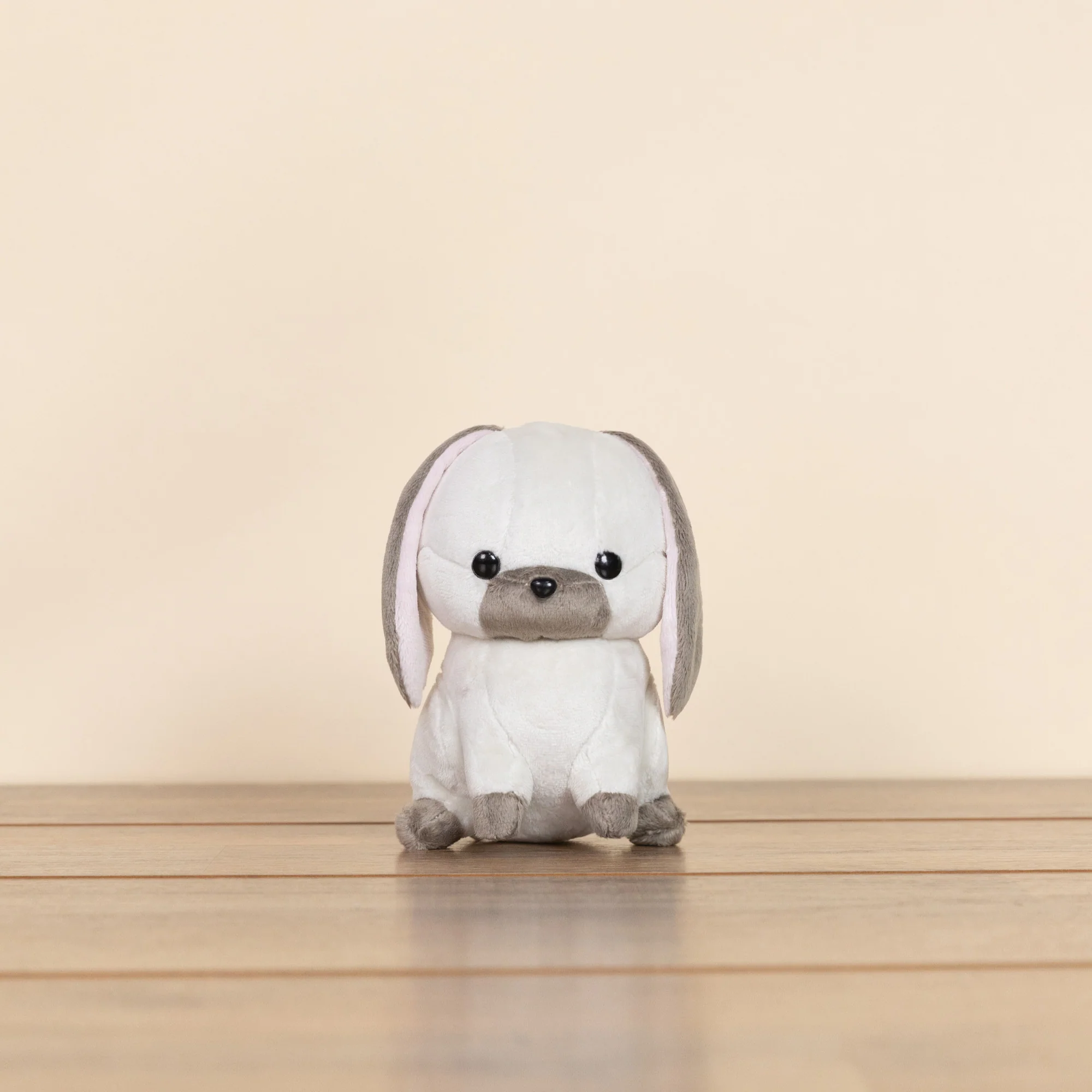 Mini Lop Bunni the Lop Rabbit - Image 3