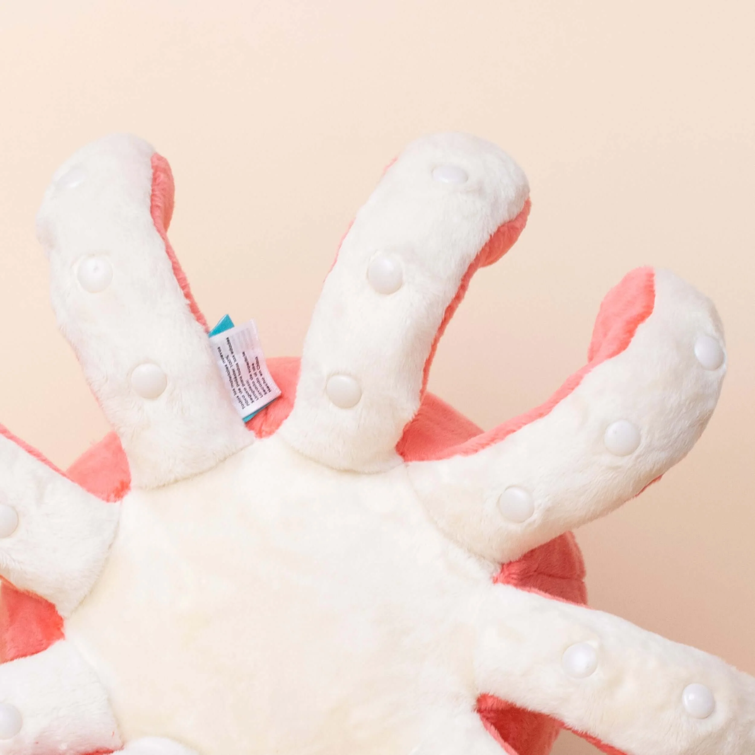 Octi the Octopus - Image 5