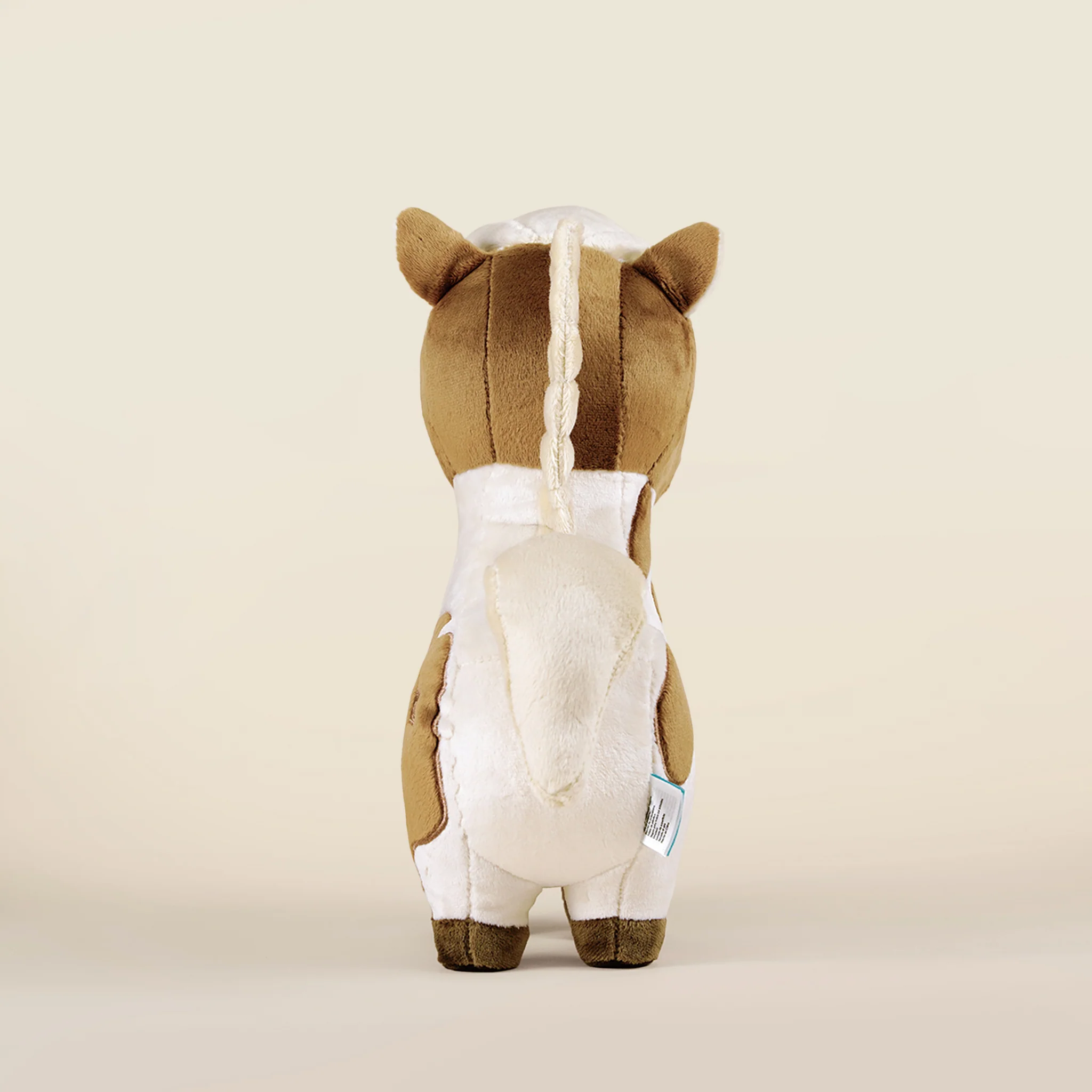 Pinto the Horsi - Image 6