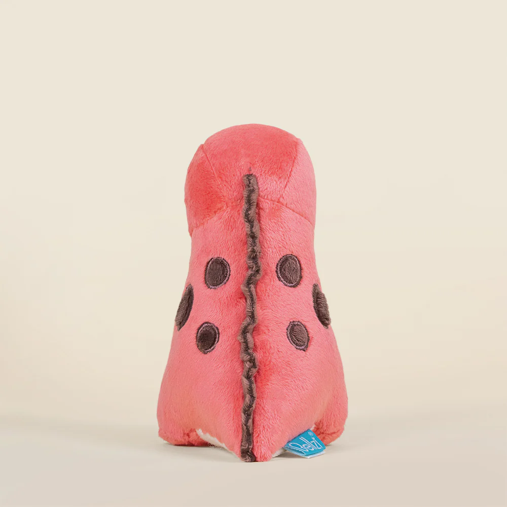 Mini Rexxi the T-Rex - Image 4