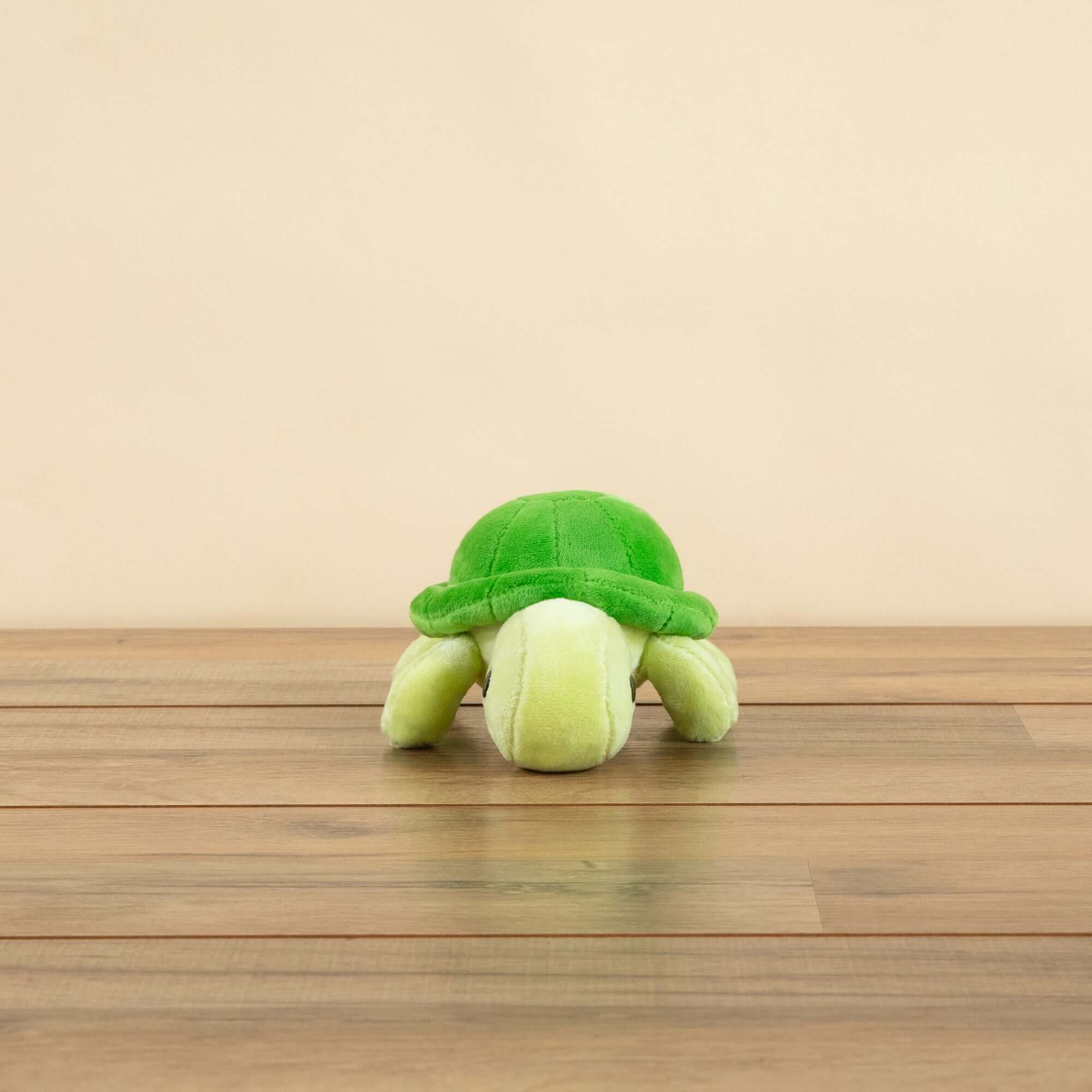 Mini Torti the Tortoise - Image 3