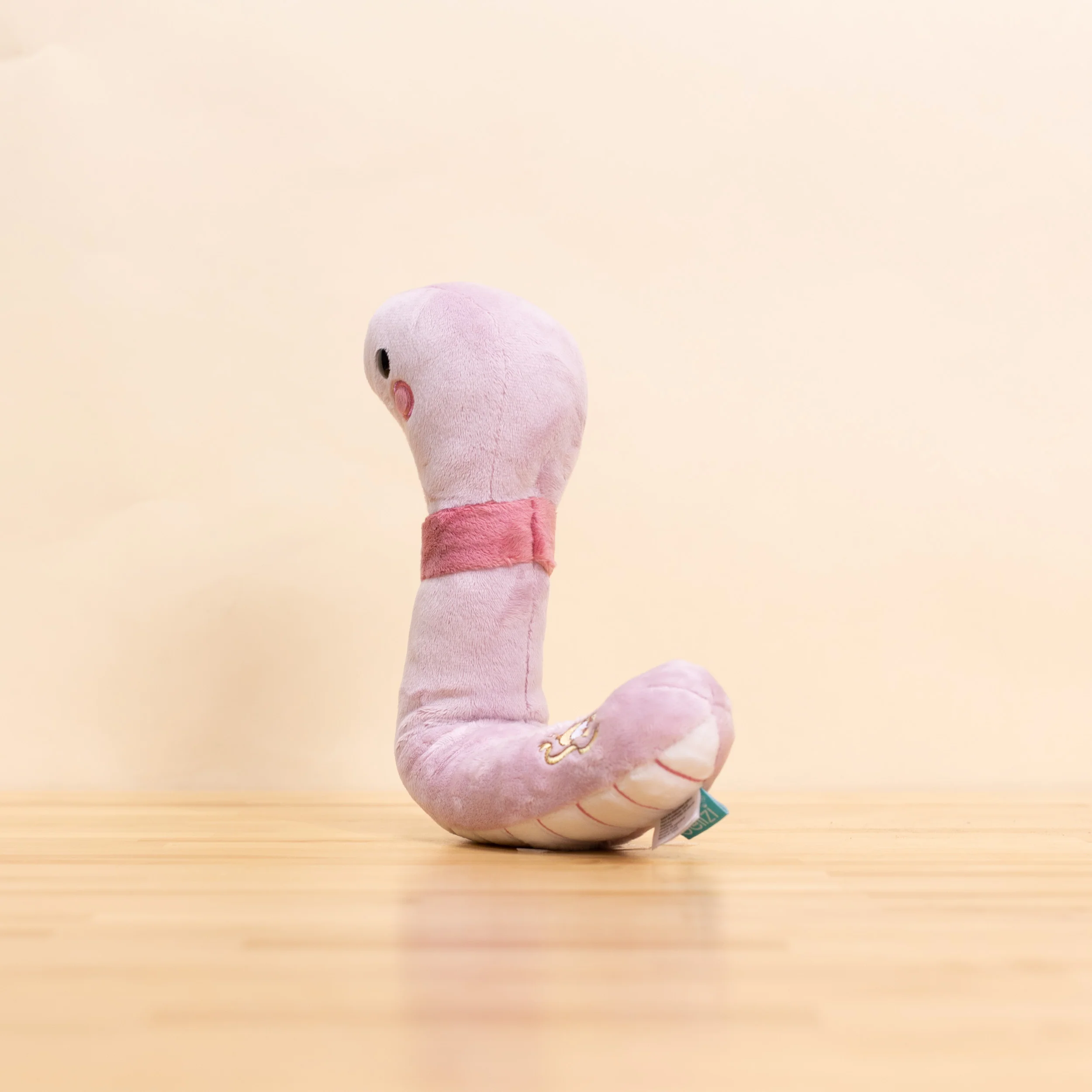 Wormi the Worm - Image 4